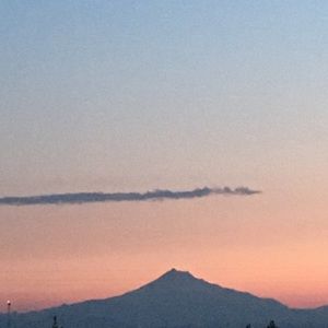 Meet your Posher, Aradonna